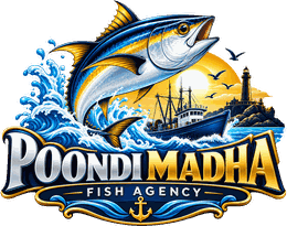 Poondi Madha Fish Agency